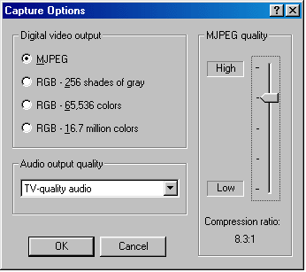 capture options.GIF (9510 bytes)