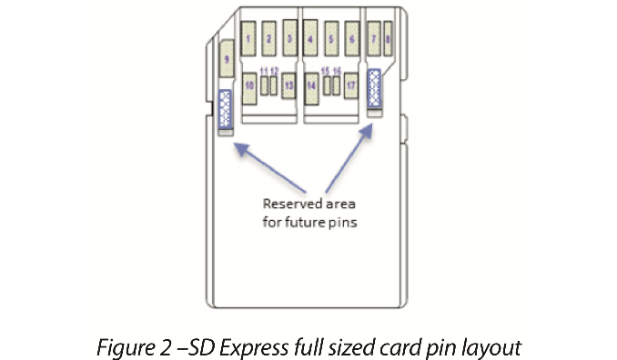 SDE_layout_575px.jpg