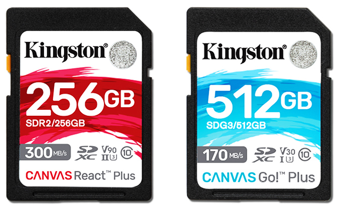 Карта памяти sdxc kingston canvas go plus 256 гб sdg3 256gb