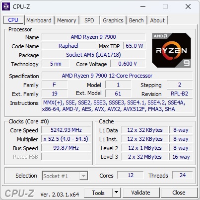 Ryzen%209%207900%20CPUz_575px.jpg