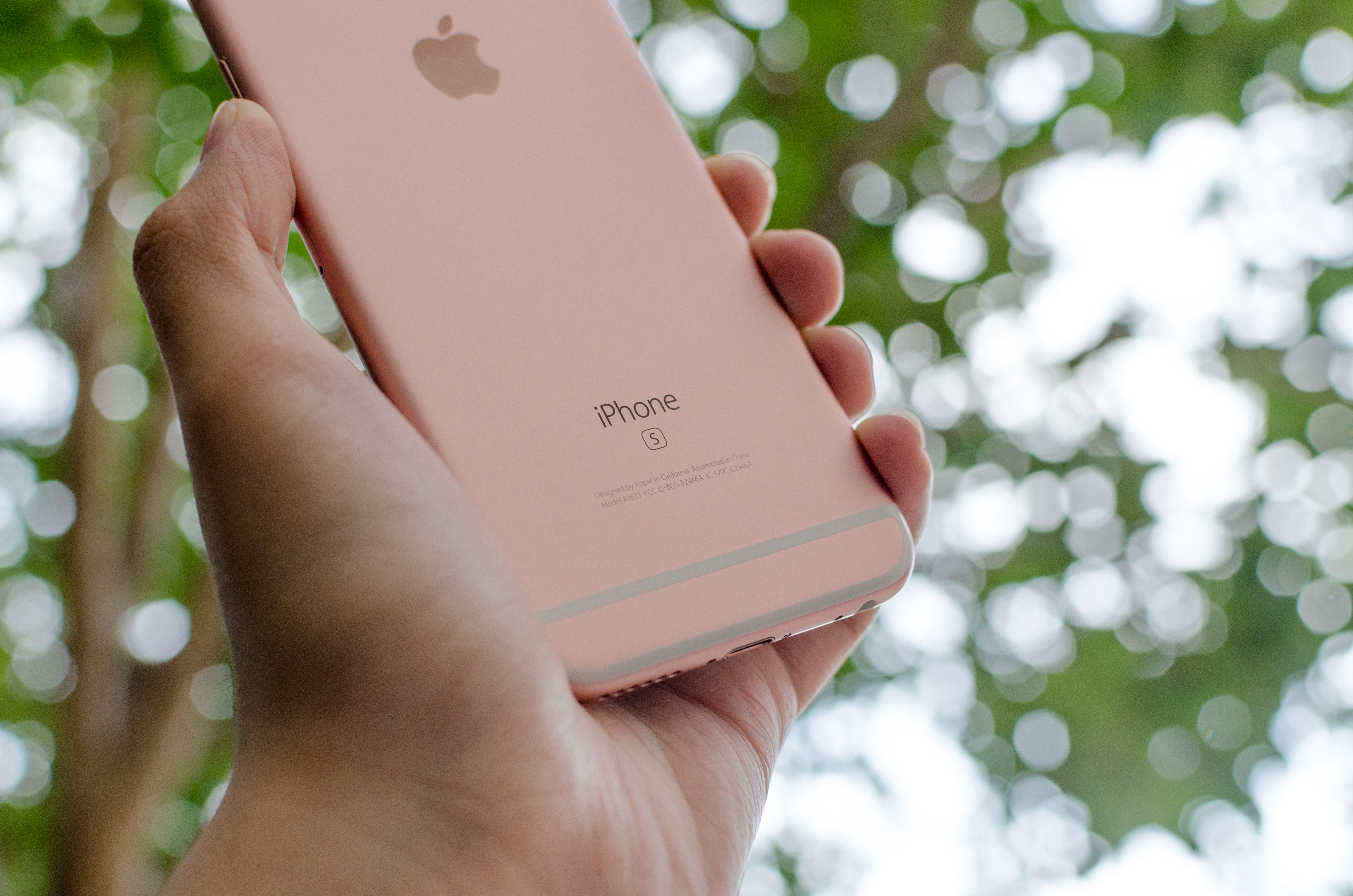 iPhone 6s and iPhone 6s Plus Preliminary Results