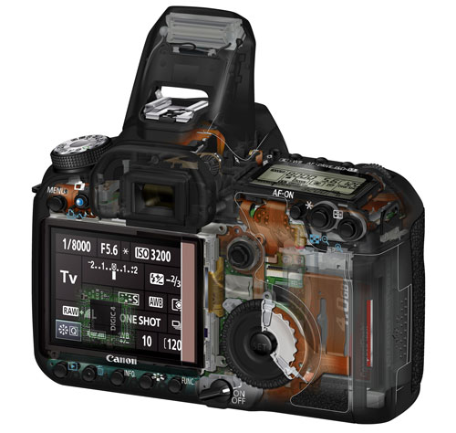 Afkorten neerhalen is genoeg Canon 50D: 15.1 Megapixels, ISO 12800, & 6.3 fps