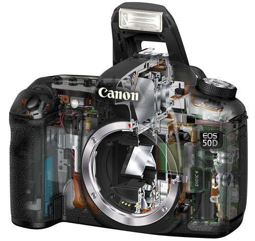 Test: The Canon EOS 50D on the microscope – a DSLR classic with advanced  sensor technology