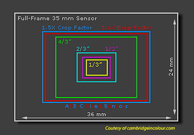Sensor Size Chart Digital Camera