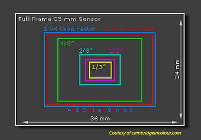 Dslr Sensor Size Chart