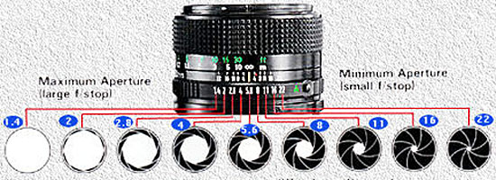 Understanding F-Stop Chart for Better Photography