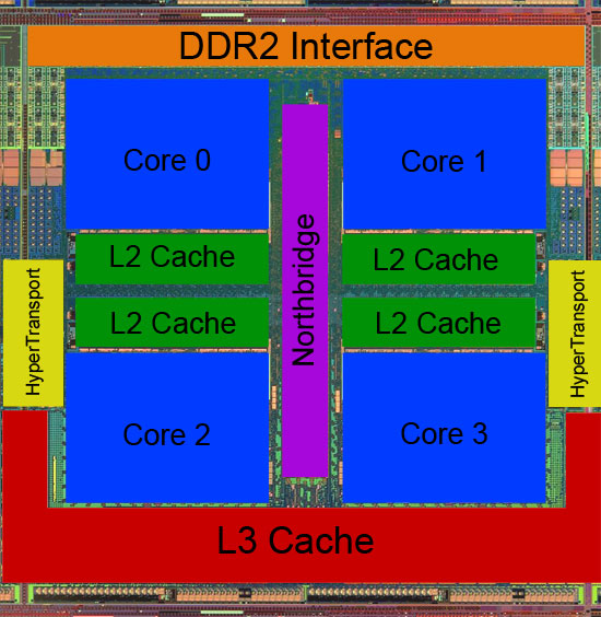 amd phenom chart