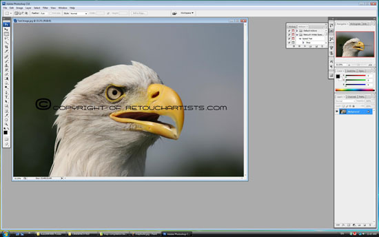 adobe photoshop cs3 test answer