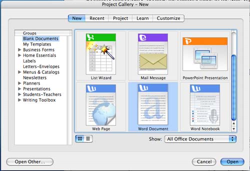 microsoft office 2004 for mac drive