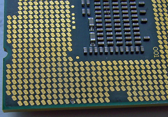 FOXCONN  LGA1366 INTEL CPU SOCKET PROTECTOR 