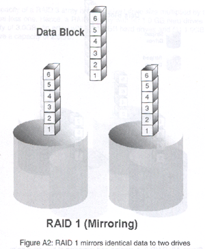 RAID 1 - IDE RAID Comparison